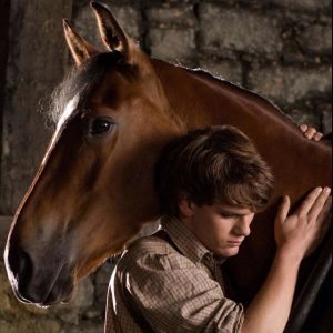 War Horse