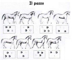 passo