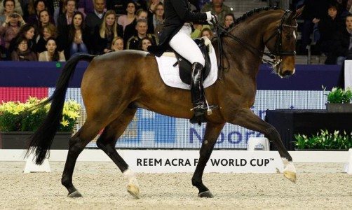 Third place FEI World Cup Isabell Werth - El Santo NRW Reem Acra FEI World Cup Dressage Amsterdam 2012 © DigiShots