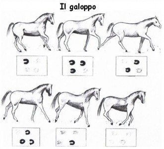 il-galoppo