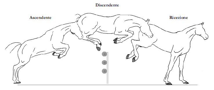 fasi del salto 2