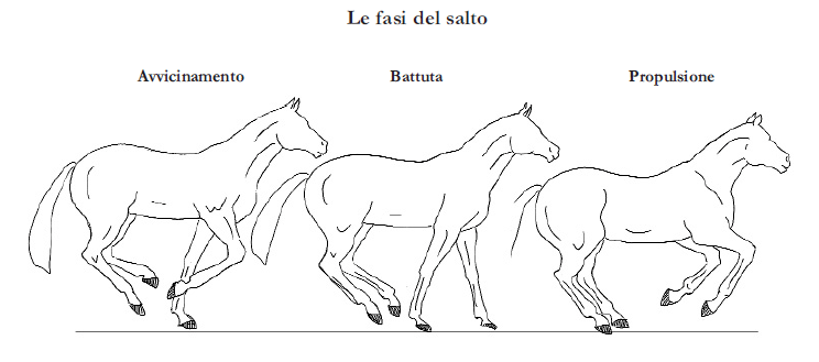 fasi del salto